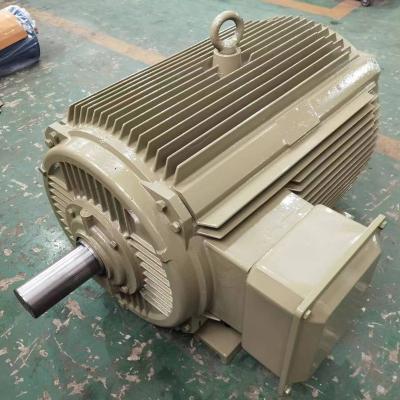 China Totally Enclosed three phase 45kw induction motor price 1410 rpm AC 415v foot mount electric motor for sale