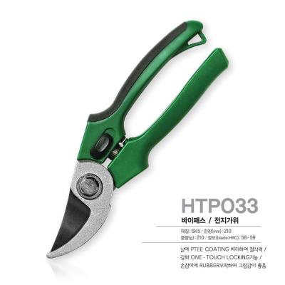 China 8 Inch Pruning Shear Tool Set Green Garden Scissors Flower Bushes Rose Fruit Tree for sale