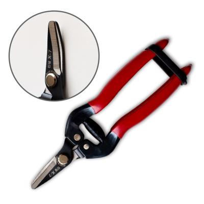 China SINSEUNG X7 Garden Scissors Red Handle Elbow Fruit Picking Shears for sale