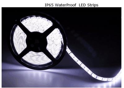 China Best Price 5M PC 5050/2835/3528 Waterproof Led Strip Lights Connector RGB Roll 12V Flexible Outdoor Ribbon for sale