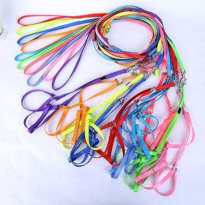 China Viable Cheap Price OEM Customs Dog Colorful Leash Nylon Pet Accessories For Small Dogs for sale