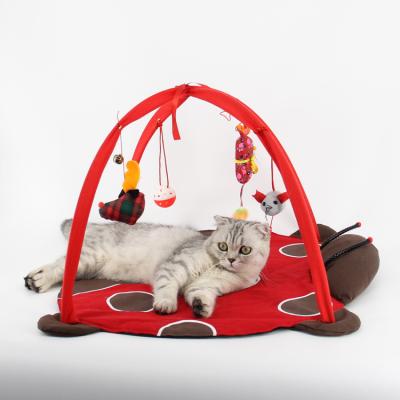 China Viable Multifunctional Crawling Cat Play Bed Durable Cat Room Tunnel Play Kitten Bed Multi Texture Fun for sale