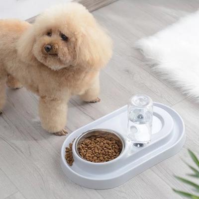 China Automatic Dog Feeder Double Bowl Food Stainless Bowl Automatic Water Dispenser Bottle for sale