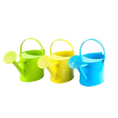 China Garden Watering Tools 6L Oval Shape Metal Watering Can Custom Stainless Steel Portable Outdoor Water Pot for sale