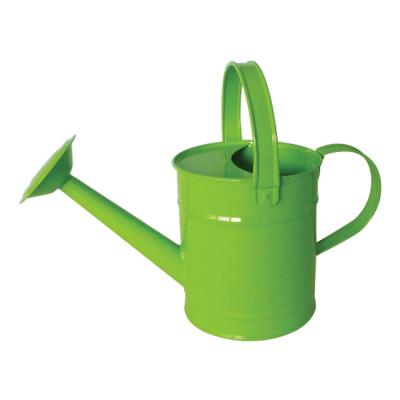 China Garden Watering Plants Custom Logo 1.6L Kids Stainless Steel Indoor Potted Plant Watering Pot Watering Can for sale