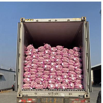 China China Wholesale Good Quality Fresh Export China Suppliers Cheap Price Fresh Chinese Pure White 4p Garlic for sale