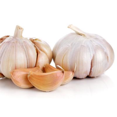 China Best Deal Import Factory Fresh Supplier Today For Natural White Fresh Garlic Red Chinese Garlic Garlic for sale