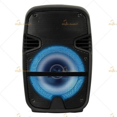 China Wireless connection speaker/Battery speaker/Plastic speaker /8 inch speaker for sale