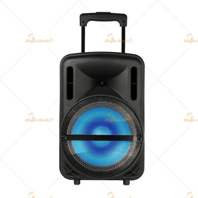 China Battery Powered 12 Inch Powered Speakers Waterproof for Movie Theaters for sale