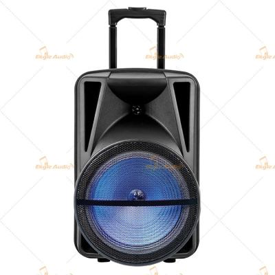 China Big 100 Watt Portable Pa Speaker System 15 Inch with Bluetooth for sale