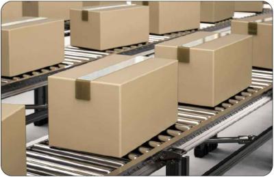 China Revolutionize Palletizing With Palletizing Visual Recognition Technology for sale