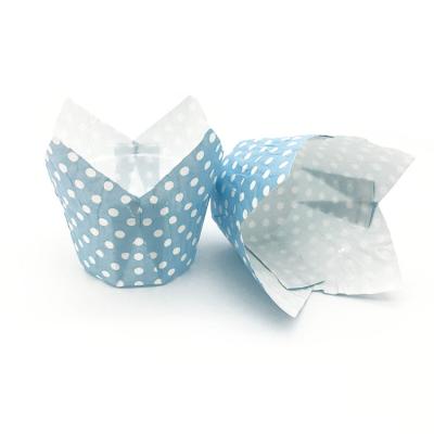 China Baby Blue Disposable Polka Dot Cupcake Baking Liners Muffin Tulip Cups for sale