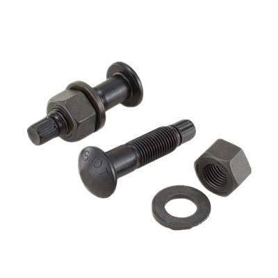 China S10T TC Steel Bolt High Tensile Strength Bolt Grade 10.9 Nuts - And - Bolts For Steel Building for sale