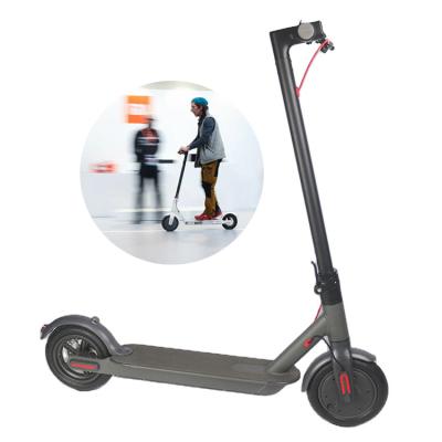 China Warehouse Electric Scooter 36v 350w Unisex Electric Powerful European Scooter 36v 350w Fast Delivery for sale