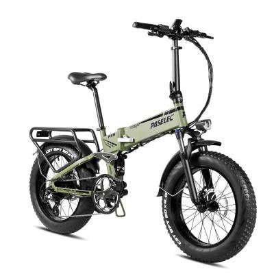 China PASELEC Aluminum Alloy Sports Bike Folding Electric Bicycle 48V 750W Ebike Ebike Fat Folding Foldable Tire for sale