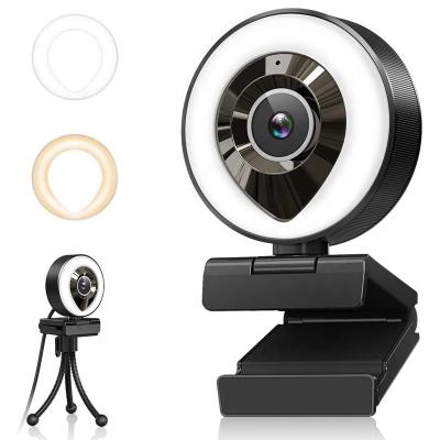 China USB Camera 1080P HD Fill Light Indoor Web Live Streaming Mobile USB High Megapixel Laptop Mini Video Camera For Mobile for sale