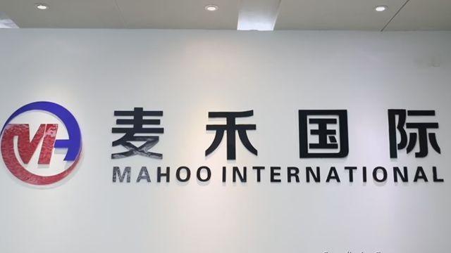 Verified China supplier - Ningbo Mahoo International Trading Co., Ltd.