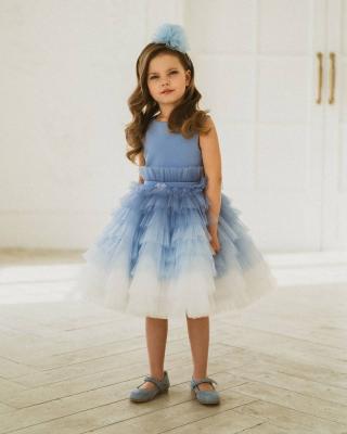 China Blue Sleeveless Ombre Tulle Wedding Flower Girl Dress Kids Dress for sale