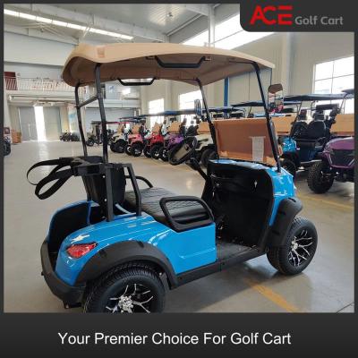 China 5kw AC Motor Electric Golf Transporter 2 Seater Cart With 48V Battery for sale