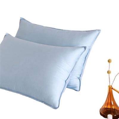 China Soft Wholesale Hotel Tencel Pillow Case Tencel Pillow Cushions Home Decor Tencel Pillow for sale