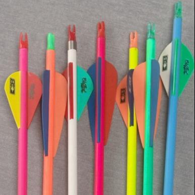 China Spine 500/600/700/800 Pure Fiber Youth Arrows Neon Color Painting Arrows for sale