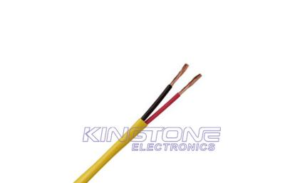 中国 20 AWG 2 Cores Audio Cable , Stranded Bare Copper UL CMR PVC Speaker Cable 販売のため