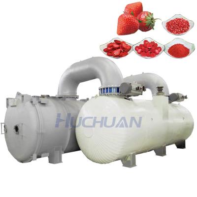 China Food Processing high quality CE manufacturer industrial size food used vacuum freeze drying equipment for sale