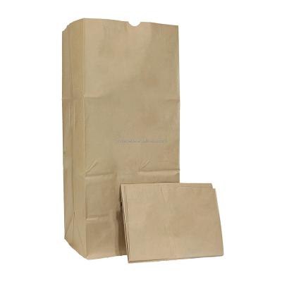 China 30 Gallon Materials Garden Lawn Leaf Waste Packaging Bag Kitchen Recycled Biodegradable Paper Waste Bags for sale