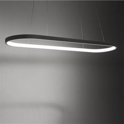 China Fashion Modern Unique Home Decor Style Chandelier Bedroom LED Aluminum Acrylic Pendant Light for sale