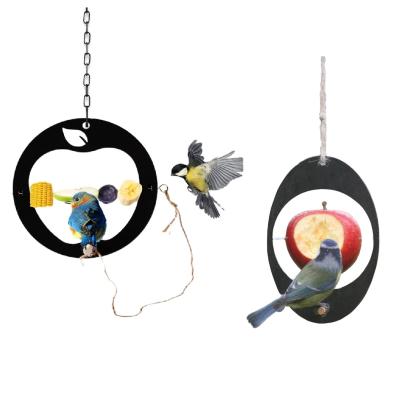 China Oriole Bird Feeder Bird Hummingbird Automatic Creative Fruit Feeders for sale