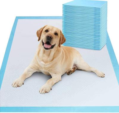 China 2021 Hot Selling Pet Puppy Training Toilet Wee Pee Pads for sale