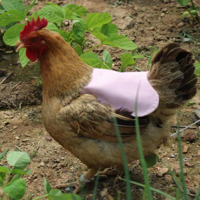 China Stocked Chicken Saddle Reusable Chicken Jacket Ties Hen Apron Feather Fixer With Elastic Strap Wing Back Protector for sale