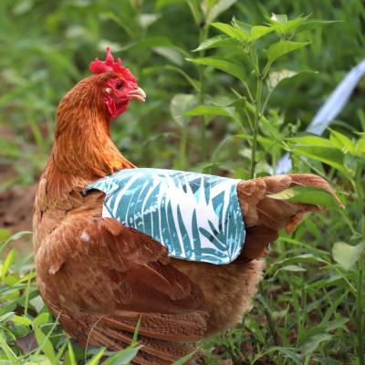 China Hen Apron Feather Fixer Wing Back Protector Stocked Elastic Hen Apron Straps Chicken Saddle for Small Medium Large Hens for sale