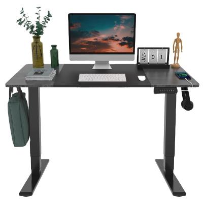 China Convertible Modern Furniture Electric Height Adjustable Sit To Stand Computer Desks With Dual Motors for sale