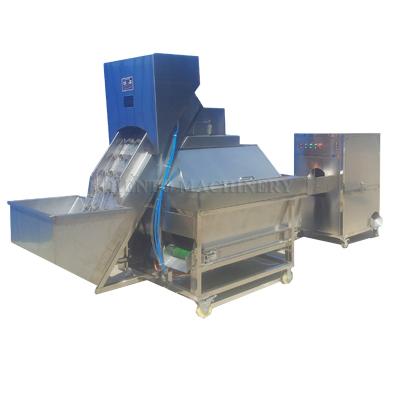 China Small Onion Green Onion Peeling Machine And Onion Root Cutting Machine for sale