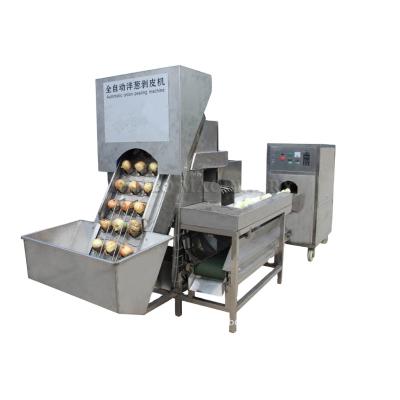 China Onion green onion slicer/onion peeling and cutting machine/onion slicer for sale