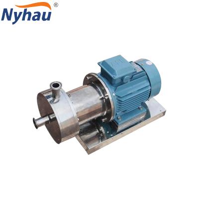 China High quality vegetable processing plant nyhau sales ss316 BRL1-80 pump for bitumen emulsion for sale