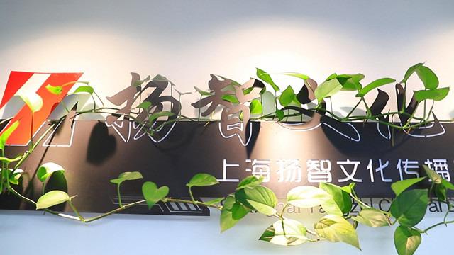 Verified China supplier - Shanghai Yangzhi Cultural Diffusion Co., Ltd.