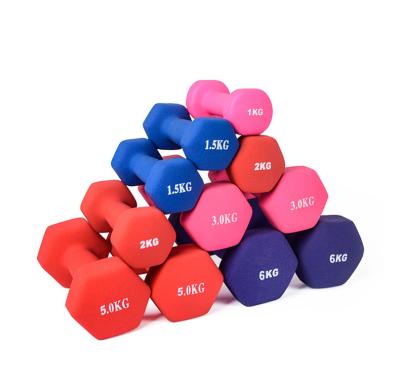 China Factory Wholesale Customized Durable Fashionable Fitness Accessories High Quality Durable Vinyl Coated Dumbbells for sale