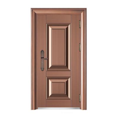 China 3ft*7ft modern simple zinc alloy security single door for interior/exterior for sale