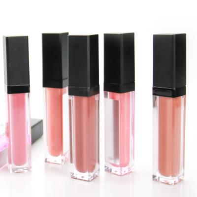 China Waterproof Lip Gloss With Wholesale Led Light And Mirror Lip Gloss High Pigmented Soft Waterproof Lip Gloss for sale