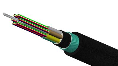 China Fiber Optic Cable Non-Metallic Strength Member Armored Cable (GYFTY53) for sale