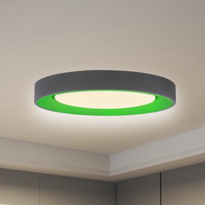 China European Modern Smart Led Ceiling Light Customized Luxury Led Ceiling Light For Living Room for sale