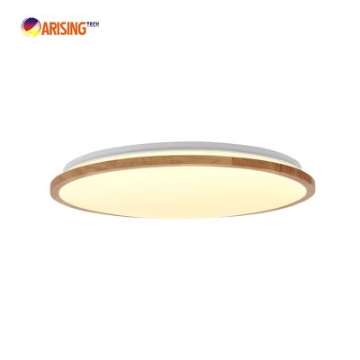 China Wholesale Modern Indoor RGB Led Ceiling Lights Nordic Postmodernism Minimalism Ceiling Lamp for sale