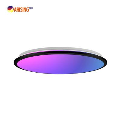 China Contemporary Factory ODM Single Ceiling Lamp For Living Room Warm White With Remote Control Led Lights for sale