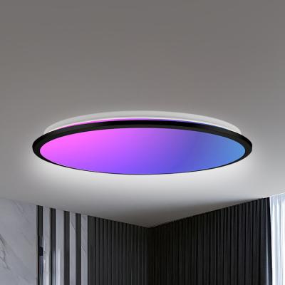 China Contemporary Custom Designer Ceiling Light Luxury Decorative Led Ceiling Lamp With Remote Control for sale