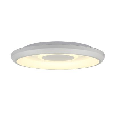 China EUROPEAN Tuya App Control Led Ceiling Lamp Dining Room Lighting Modern Ceiling Lamp for sale