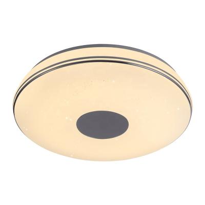 China Dimmable+bracket APP Control 24W Smart TUYA APP Control CCT and Dimmable Led Ceiling Lights RGB Ceiling Lamp for sale