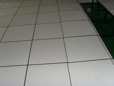 China Elasticity performance Raised Access Flooring Systems 600 * 600 * 32mm for sale