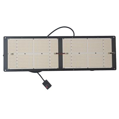 China Seed Starting Top Led Grow Light 260W Samsung LM351H 660nm QB648 Grow Light With Inventronics Driver for sale